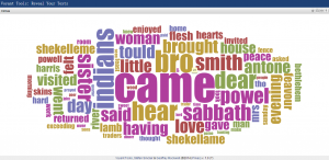 word cloud of Powell diary